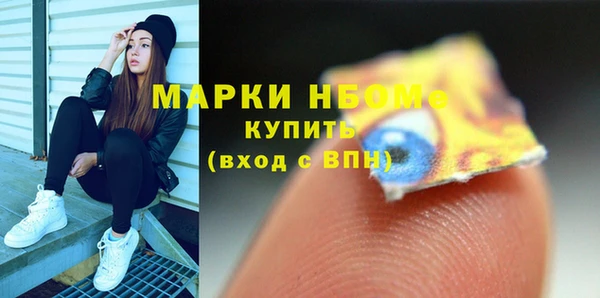 хмурый Алзамай