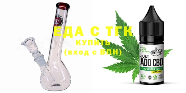 хмурый Алзамай