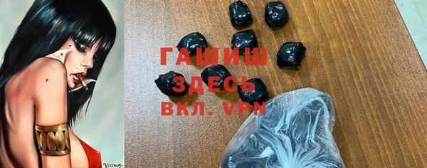 хмурый Алзамай