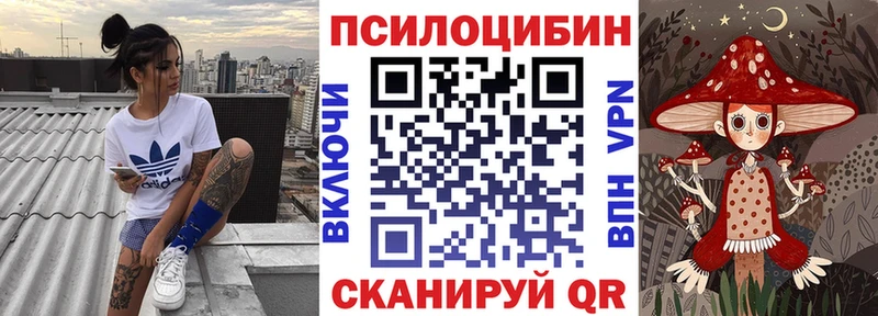 darknet клад  Кириши  Псилоцибиновые грибы мухоморы  купить  сайты  kraken зеркало 
